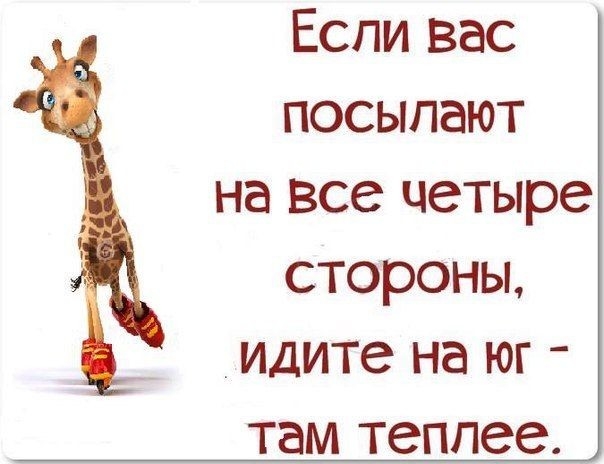 Если вас посыпают на все четыре стороны идите на юг ТЕМ теплее