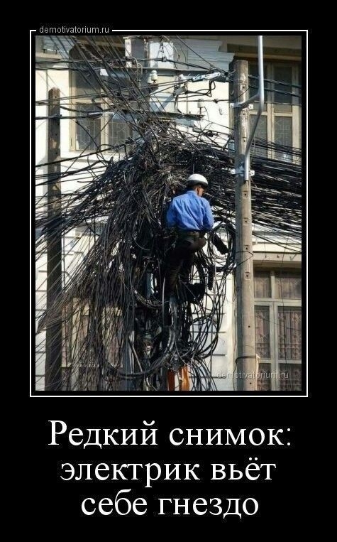 _ пвпшшашгшт Редкий снимок электрик вьет себе гнездо