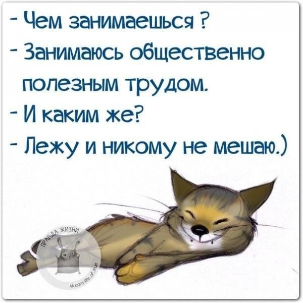 Чем занимаешься Занимаюсь общественно полезным трудом И каким же Лежу и никому не мешаю