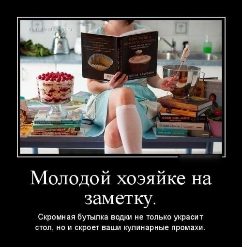Молодой хозяйке на заметку Скромная бутылка водки не только украсит стол на и скроет ваши кулинарные промахи
