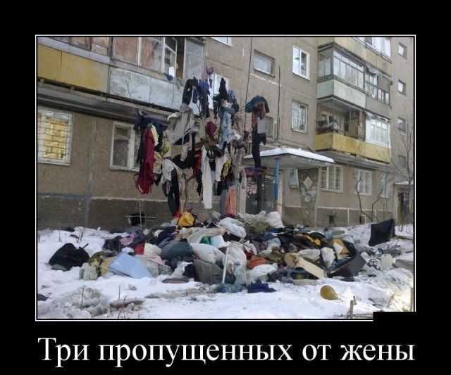 ТрИ пропущенных от жены