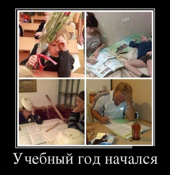 Учебный год начался