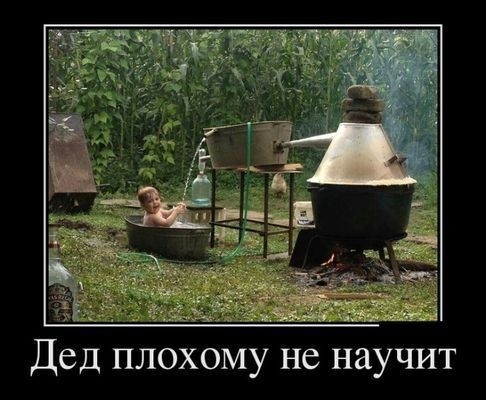Дед ПЛОХОМУ НС ННУЧИТ