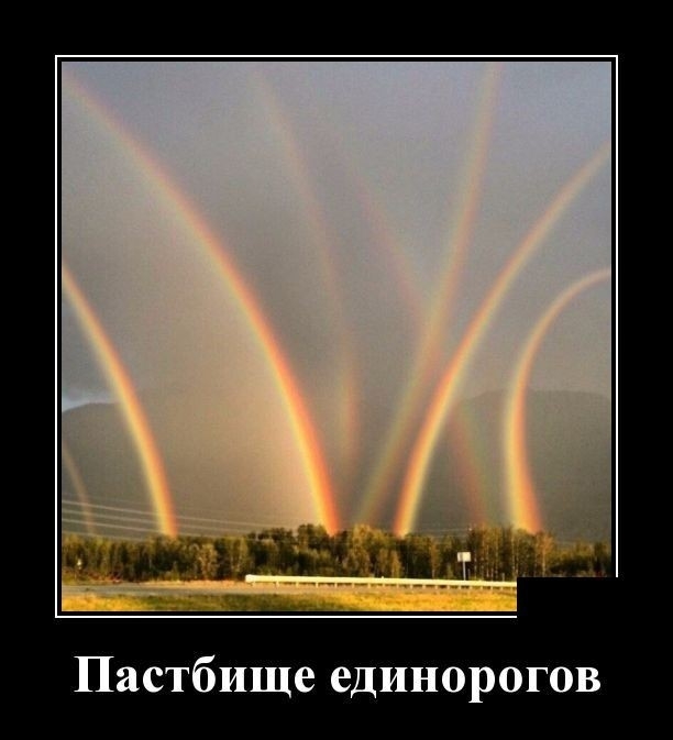 Пастбище единорогов