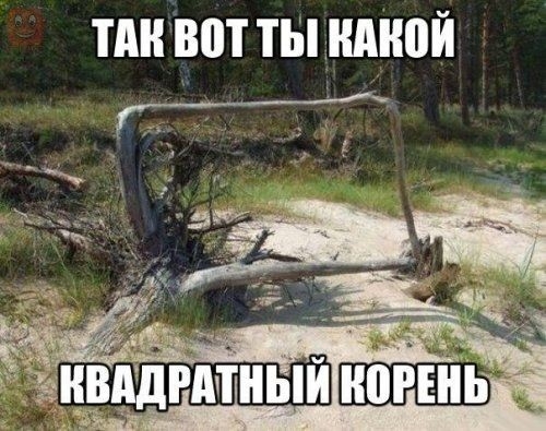 ТМПЮТ ТЫ НМЮЙ