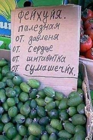 07 Миня м грузе тг миша