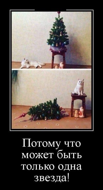 Потому что может быть только одна звезда