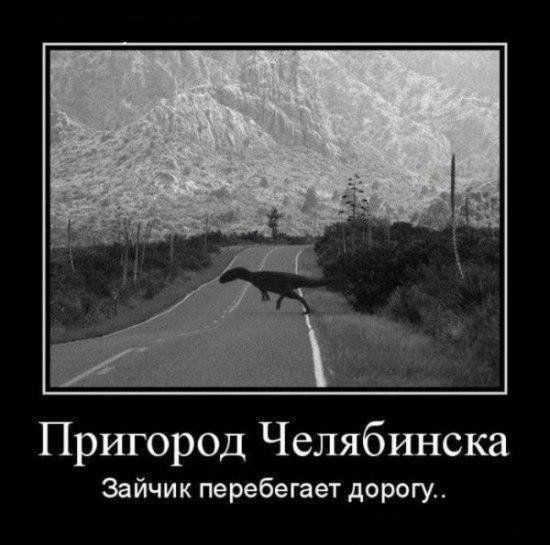Пригород Челябинска Зайчик перебегает дорогу