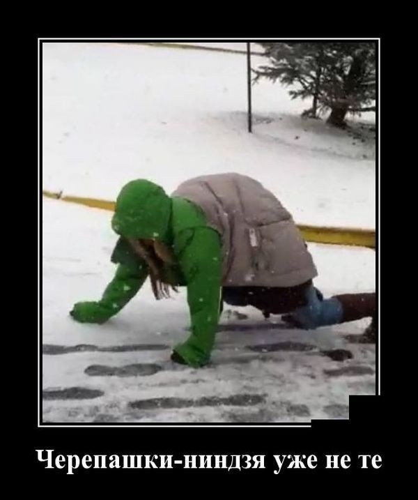 Черепашки ниндзя уже не те