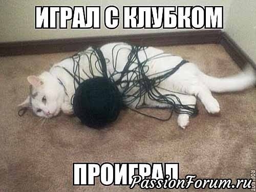 РПИ ЪаззюпТотт УИ