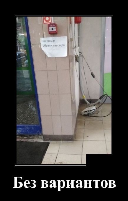 Без вариантов