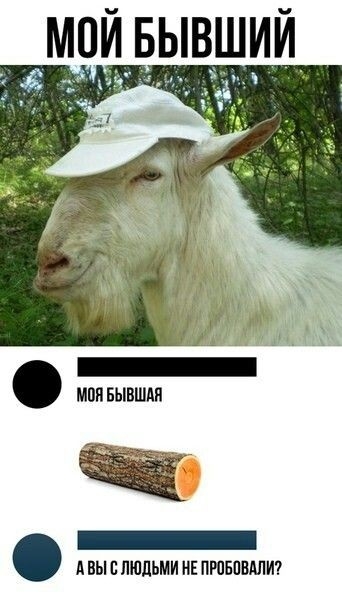 МОЙ БЫВШИЙ _ мпивывшли _ Авыслшдьмиивпювпвдлт