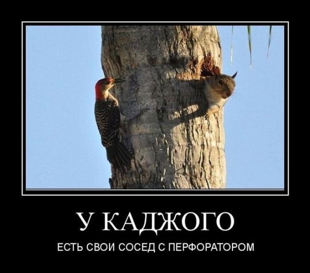 У КАДЖОГО ЕСТЬ СВОИ СОСЕД С ПЕРФОРАТОРОМ