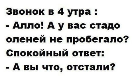 Звонок в 4 утра Алло А у вас стадо оленей не пробегало Спокойный ответ А вы что отстали