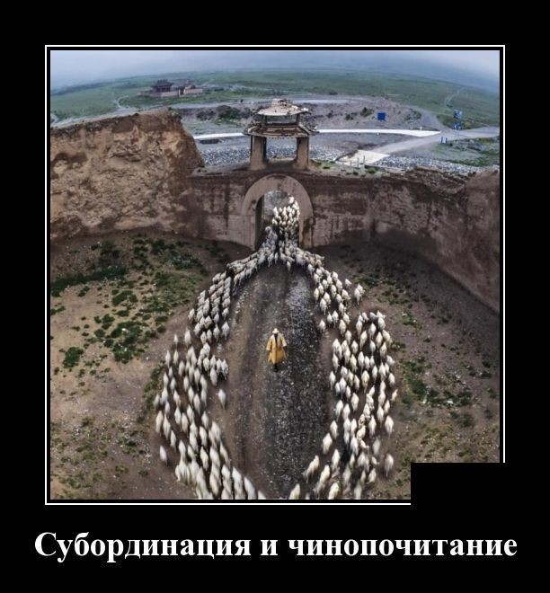 Субординация и чинопочитание