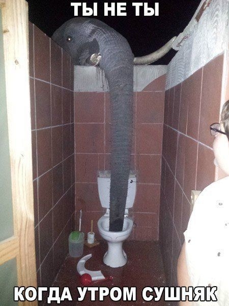 ТЫ НЕ ТЫ ТЁ4 КОГДА УТРОМ СУШНЯК