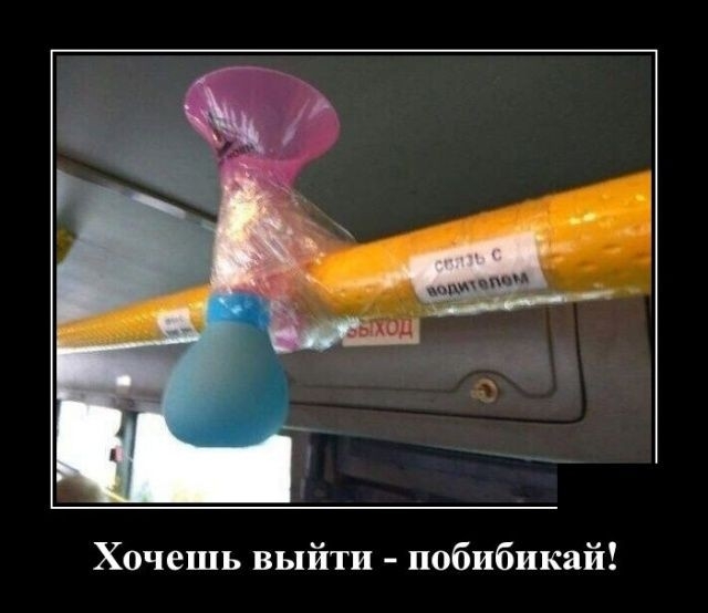 Хочешь выйти побибикай