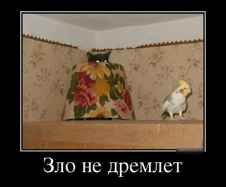 Зло не дремлет