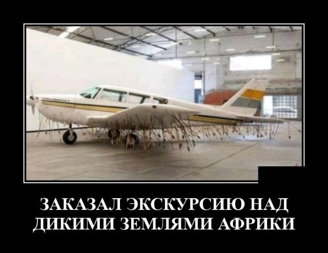 ЗАКАЗАЛ ЭКСКУРСШО НАД ДШСИЬШ ЗЕМЛЯМИ АФРШСИ
