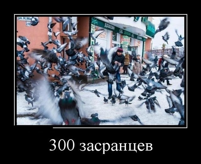 ЗОО засранцев