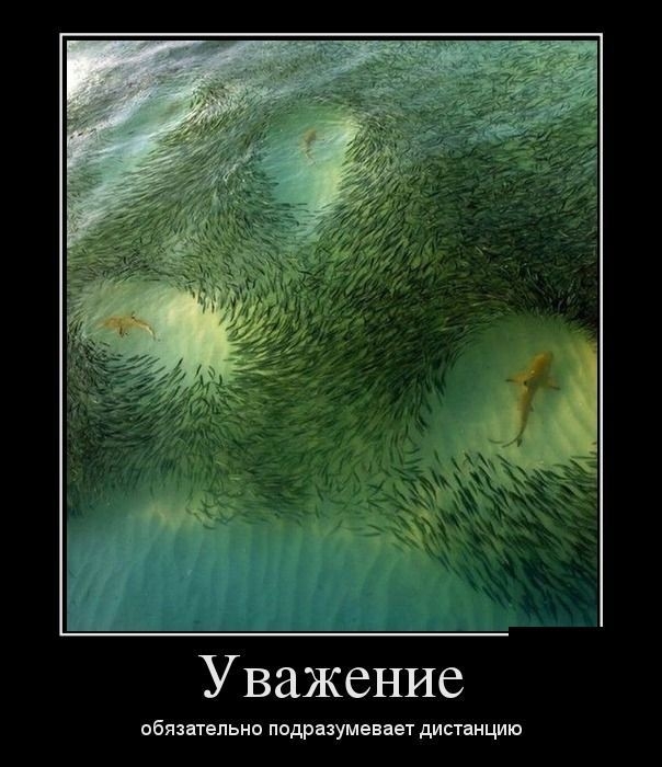 Уважение обязательно подразумевает дистанцию