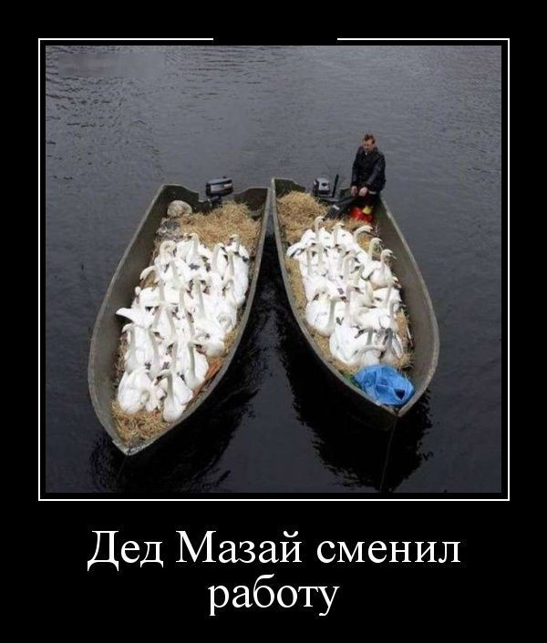 Дед Мазай сменил работу