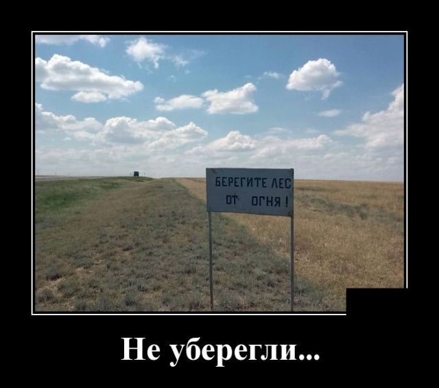 Не уберегли