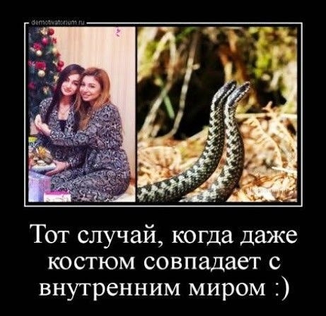Тот случай когда даже костюм совпадает с внутренним миром