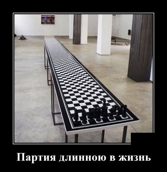 Партия длинною в жизнь