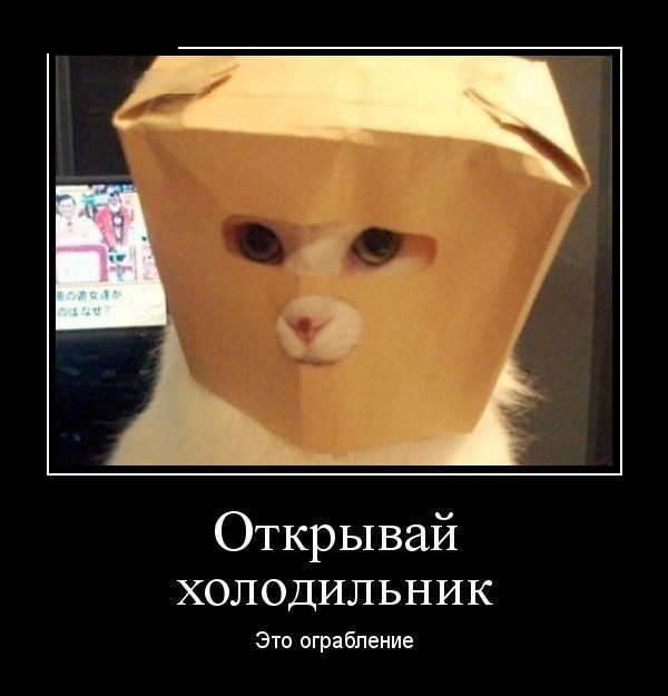 Открывай холодильник Это ограбление