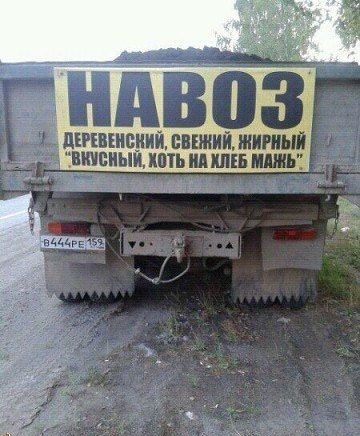 лишив свіжий жирный швиыи итьипмвишь