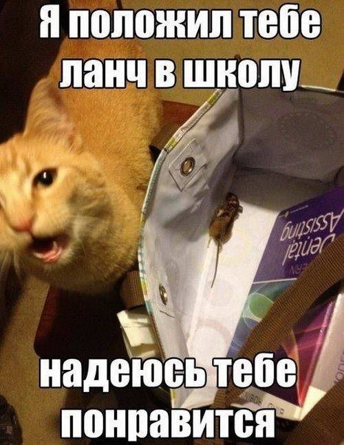 и положил тебе ланч в щношь надейпеь тебе понпавится
