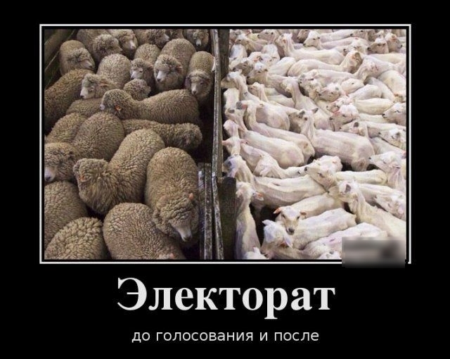 Электорат ДО ГОЛОСОВЭНИЯ И после