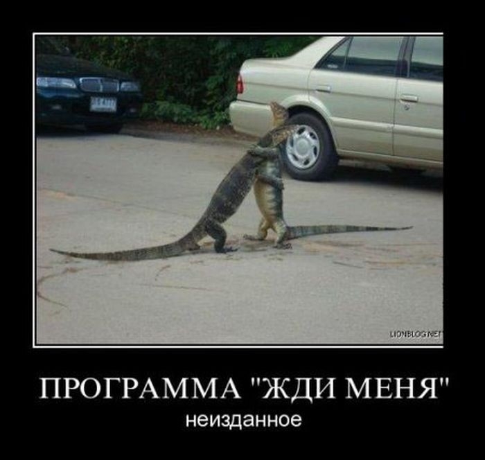 ПРОГРАММА ЖДИ МЕНЯ неиздан ное