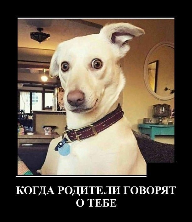 КОГДА РОДИТЕЛИ ГОВОРЯТ О ТЕБЕ
