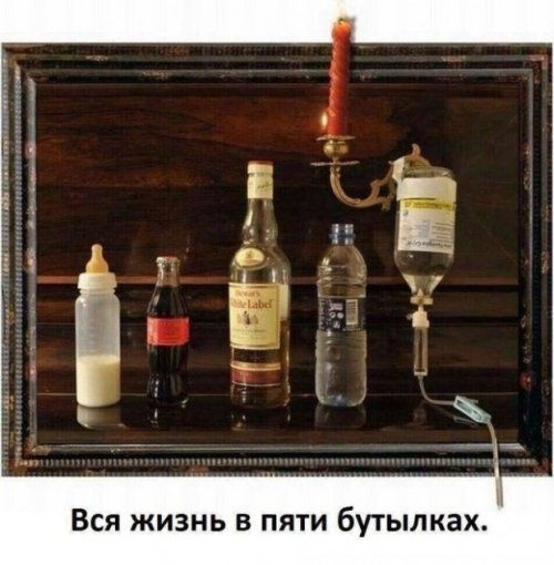 ВСЯ ЖИЗНЬ В ПЯТИ бутылках