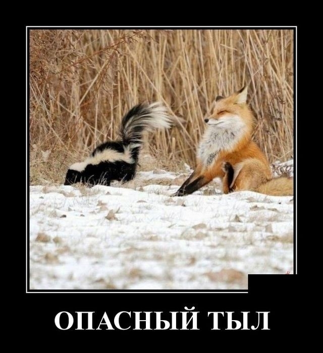 ОПАСНЬ1И ТЫЛ