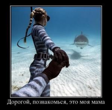 дпрцгж пшкпиьсж