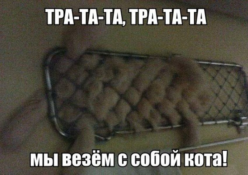 ТРА Тд Тд ТРд Тд Тд мы везём собой нота