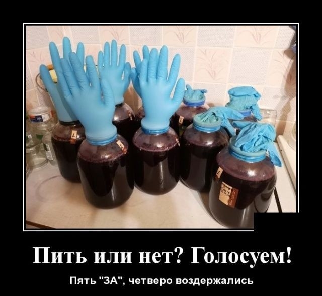 Пить или нет Голосуем Пять ЗА четверо воздержались