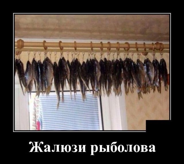 Жалюзи рыболова