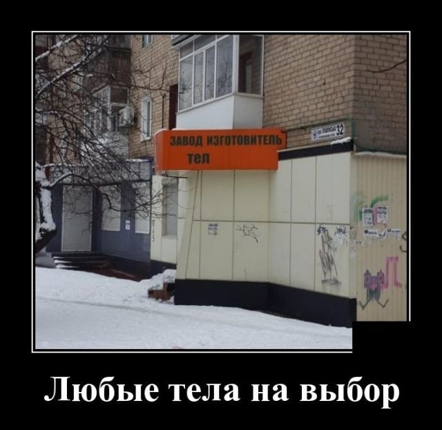 Любые тела на выбор
