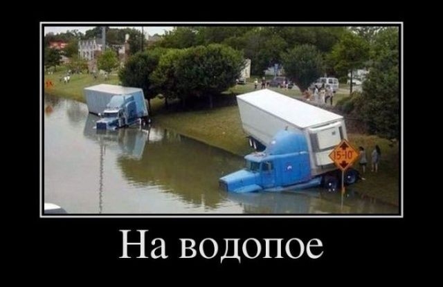 На водопое