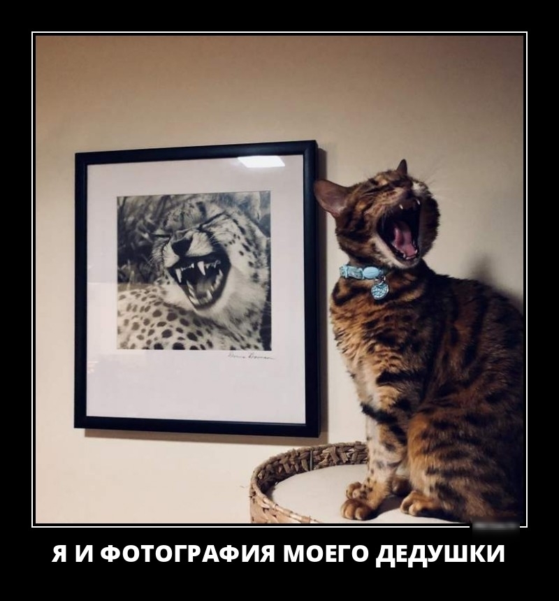 Я И ФОТОГРАФИЯ МОЕГО дЕдУШКИ