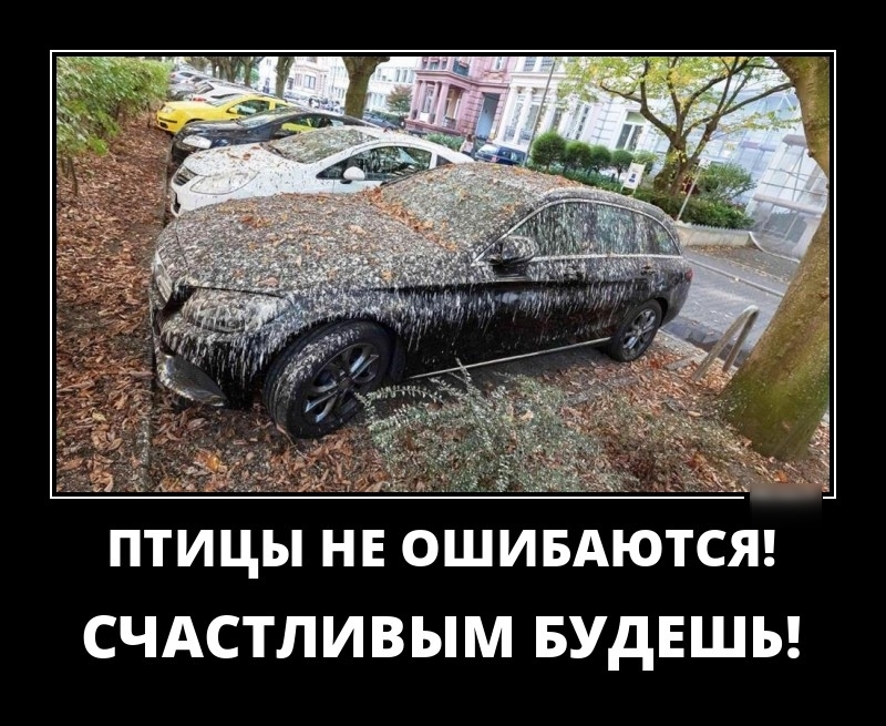 ПТИЦЫ НЕ ОШИБАЮТСЯ СЧАСТЛИВЫМ БУДЕШЬ