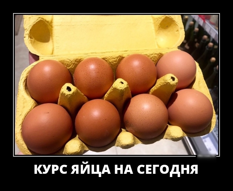 курс яйцд НА снгодня