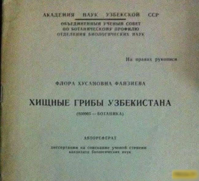 Я ПАУК тп МЩПППМ НИИЖБ ШШШ ЪГКМШ Я пят нна ЛОРА ХУЕ ИЦБИА ОАПЗИЕА ХИЩНЫЕ ГРИБЫ УЗБЕКИСТАНА кты помним дитина ямы эт ч за Сии _
