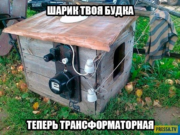 _ітЕпЕгь тгшвфогипбгш