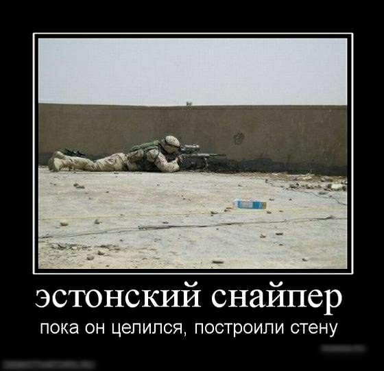 эстонский снайпер ПОКЭ ОН ЦЭЛИЛСЯ ПОСТРОИПИ стену