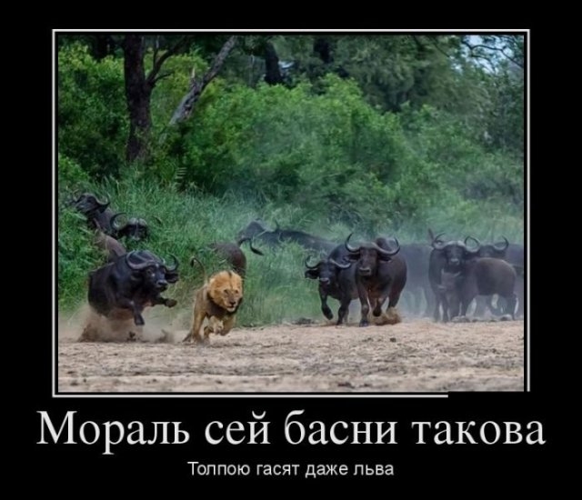 Мораль сей басни такова ТОППОЮ ГЗСЯТ даже ПЬБЗ